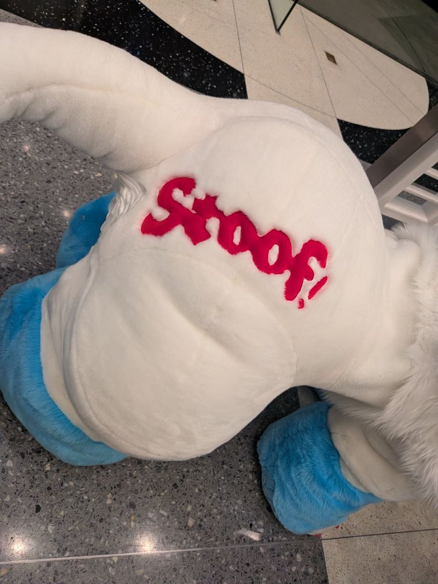StoofStudios's tweet photo. Con crunched Stoof the poodle!! Who got to run around ASC this past weekend (granted with generous application of carpet protectors for all that white fur). 

Would love to make more quadsuit/crawling quads ❤️🐩 https://t.co/iOmuehxWaH