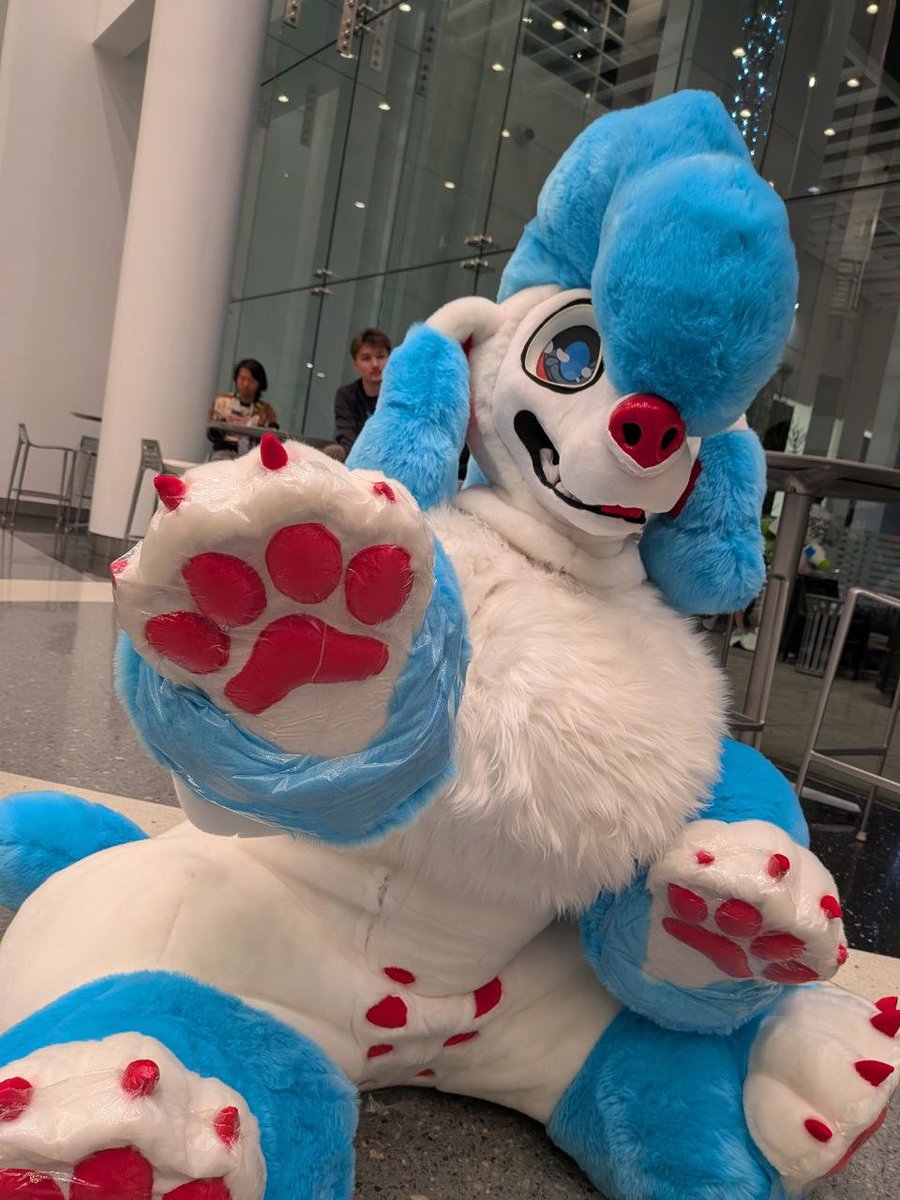 StoofStudios's tweet photo. Con crunched Stoof the poodle!! Who got to run around ASC this past weekend (granted with generous application of carpet protectors for all that white fur). 

Would love to make more quadsuit/crawling quads ❤️🐩 https://t.co/iOmuehxWaH