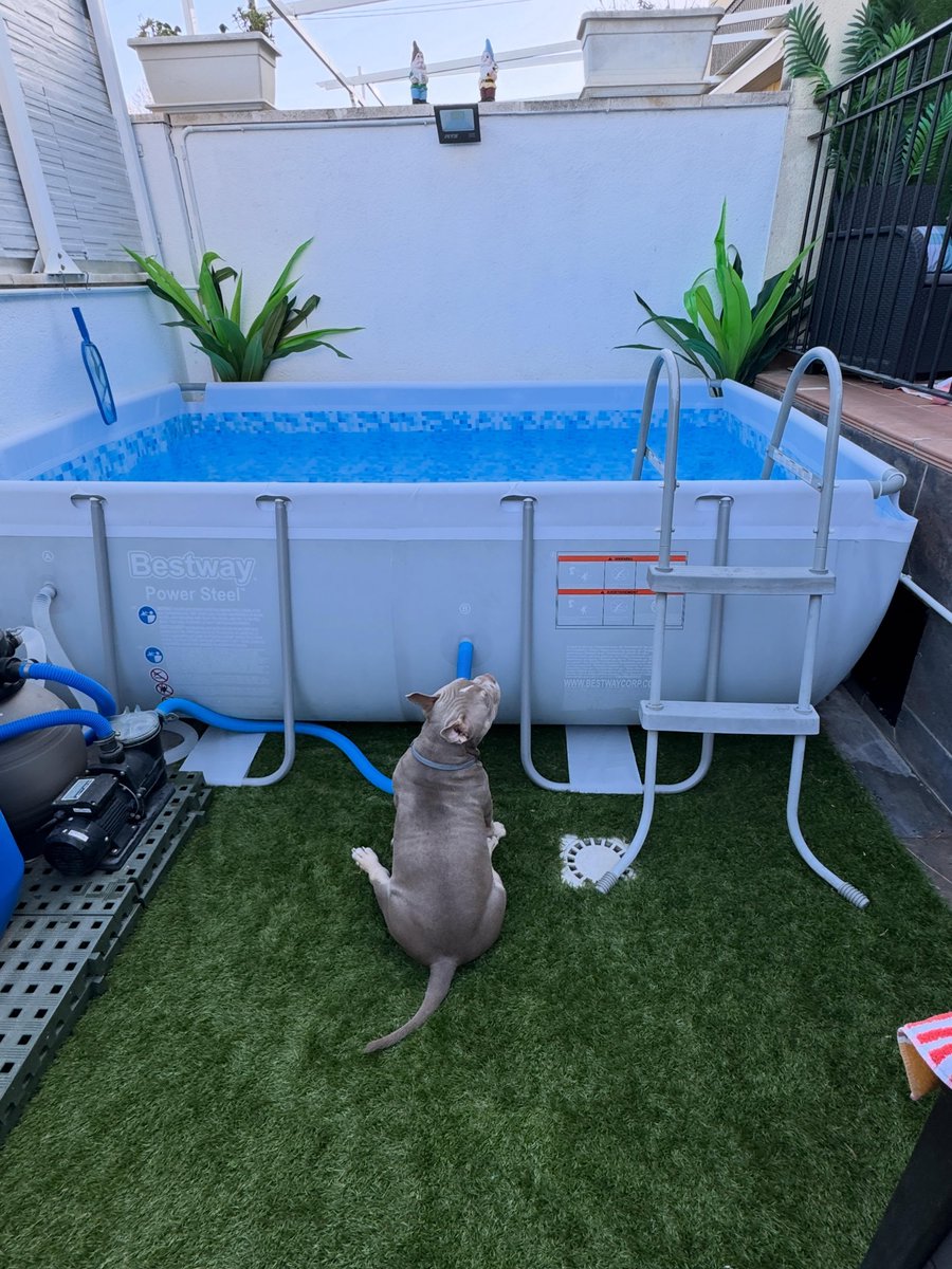 ChaseDubactd's tweet photo. Me encanta la piscina. https://t.co/bZGklJ71Gt