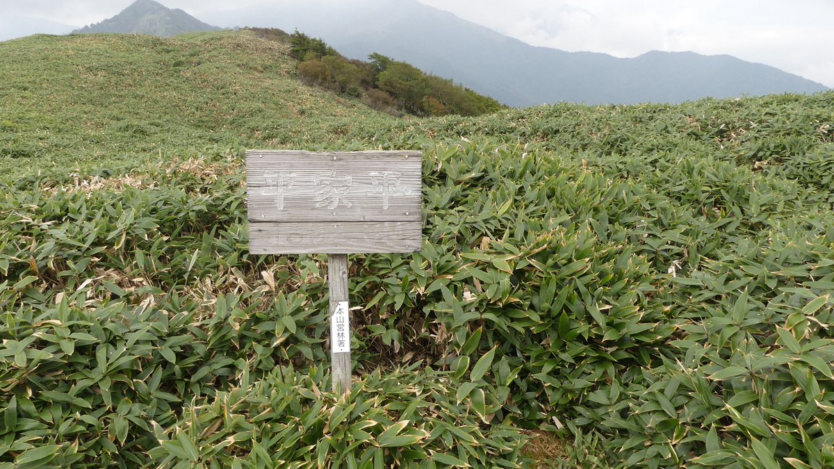 hide08277197's tweet photo. 平家平に登ってきました
フォレスターハウス開いてなかったけど登山は通っても大丈夫と書いてあったので通りました
10時まで待ったら夕方になるので
曇り空だったから眺望はイマイチだったけど涼しかったです😃 https://t.co/jQV8Sis2k1