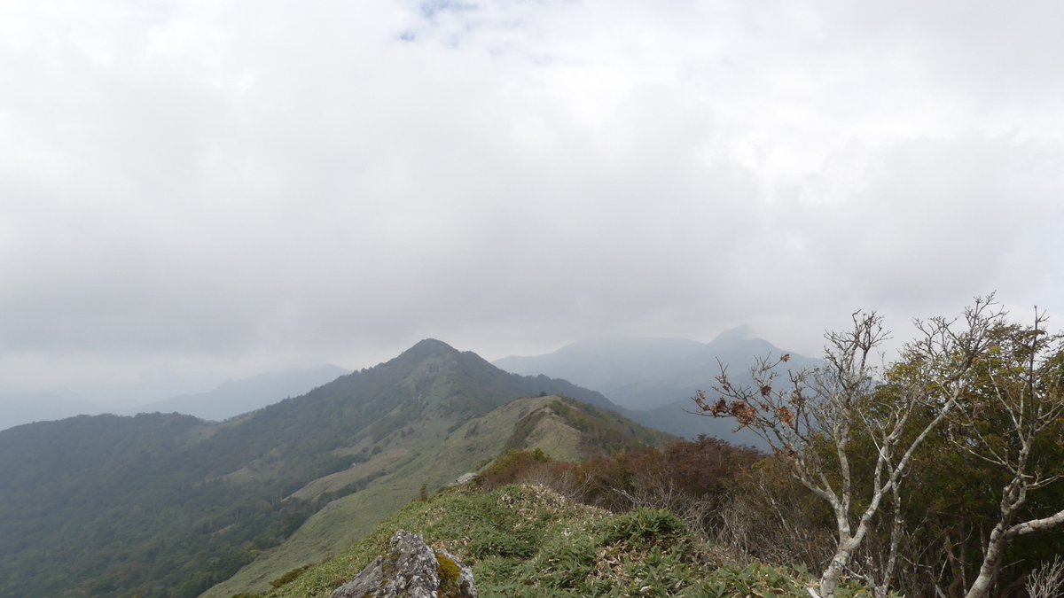 hide08277197's tweet photo. 平家平に登ってきました
フォレスターハウス開いてなかったけど登山は通っても大丈夫と書いてあったので通りました
10時まで待ったら夕方になるので
曇り空だったから眺望はイマイチだったけど涼しかったです😃 https://t.co/jQV8Sis2k1