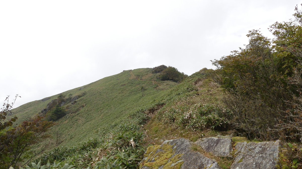 hide08277197's tweet photo. 平家平に登ってきました
フォレスターハウス開いてなかったけど登山は通っても大丈夫と書いてあったので通りました
10時まで待ったら夕方になるので
曇り空だったから眺望はイマイチだったけど涼しかったです😃 https://t.co/jQV8Sis2k1