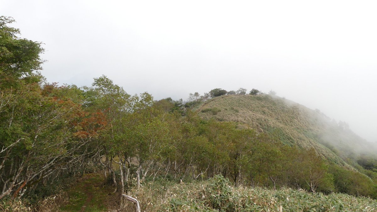 hide08277197's tweet photo. 平家平に登ってきました
フォレスターハウス開いてなかったけど登山は通っても大丈夫と書いてあったので通りました
10時まで待ったら夕方になるので
曇り空だったから眺望はイマイチだったけど涼しかったです😃 https://t.co/jQV8Sis2k1
