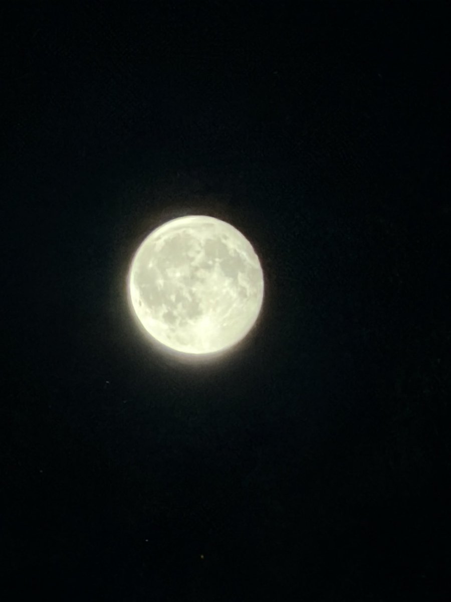 ajnaabiii's tweet photo. I belong to the nights that are dark, the skies that are quiet, and the moon that makes everything beautiful 🥀🖤🌖 https://t.co/hcfpg0Arhc