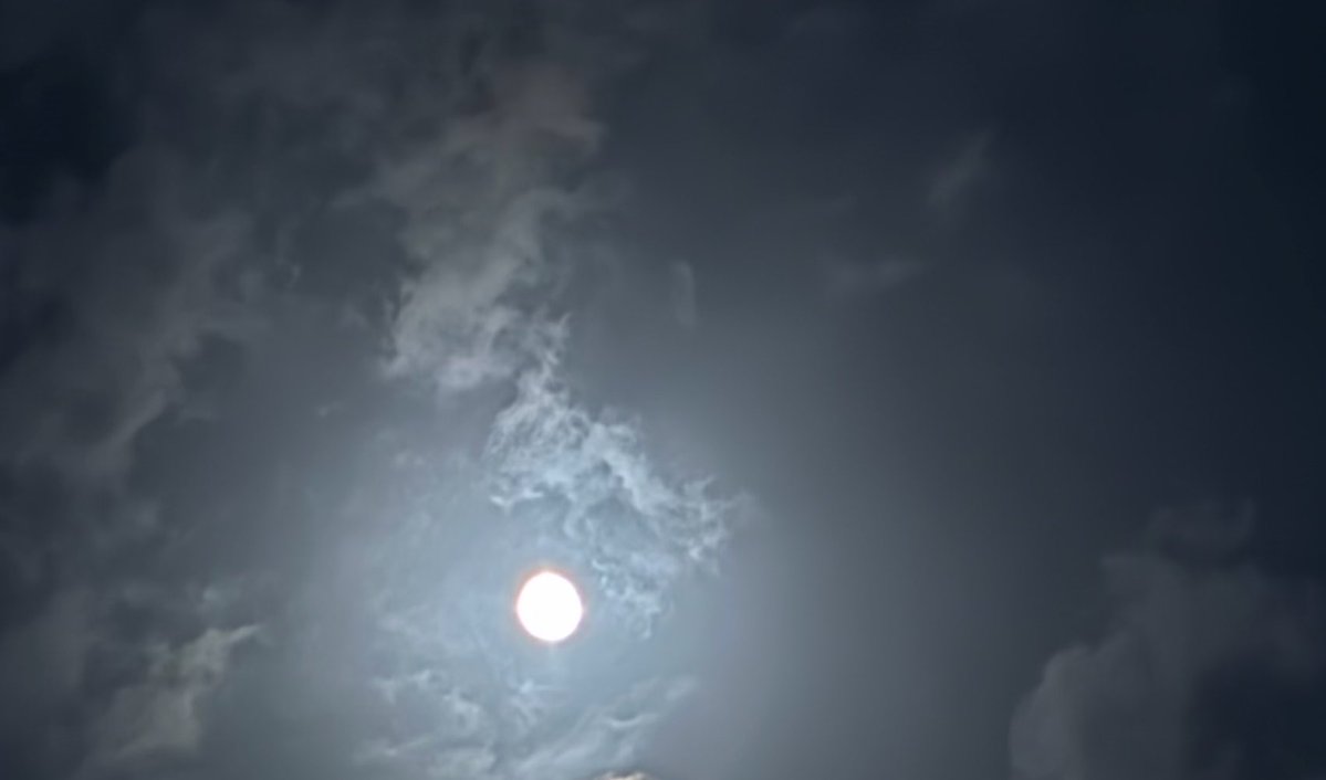 ajnaabiii's tweet photo. I belong to the nights that are dark, the skies that are quiet, and the moon that makes everything beautiful 🥀🖤🌖 https://t.co/hcfpg0Arhc