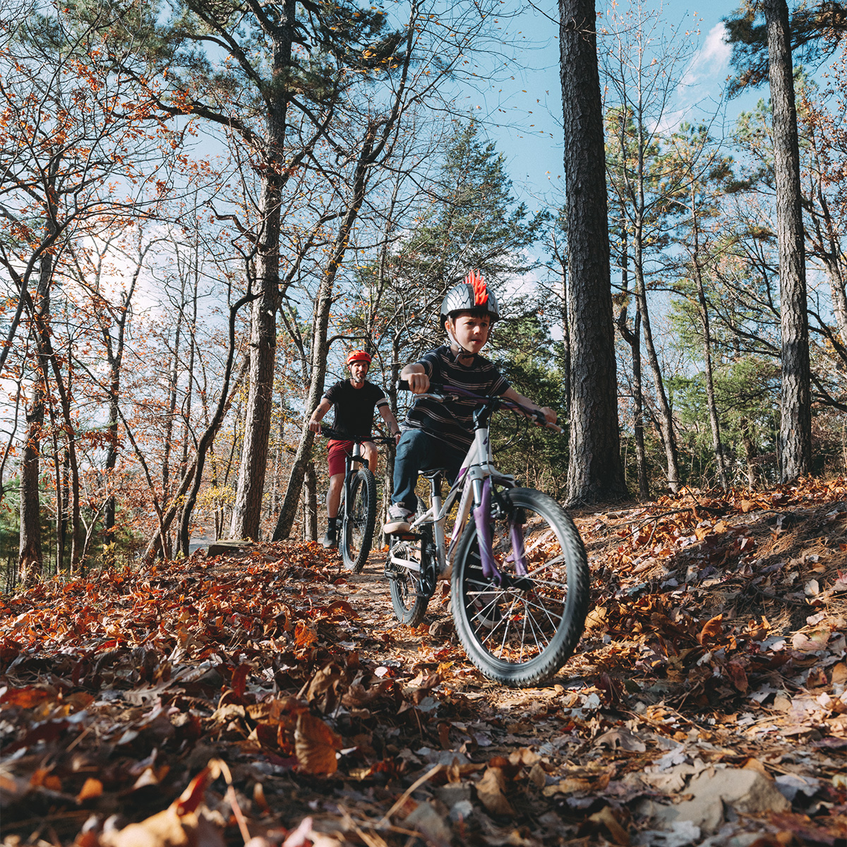 ArkStateParks's tweet photo. A perfect fall getaway starts at Mount Nebo State Park. Take this as your sign to escape to the mountains. ⛰️🍂 #ARStateParks #TheNaturalState https://t.co/qrULxgxS2n https://t.co/dpppADiVek