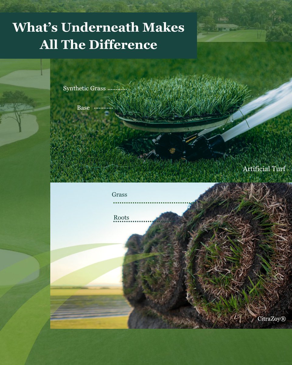 StarTurf_Farms's tweet photo. Artificial turf has its place. But when comparing turf options, the long-term impact matters.

The right choice depends on the environment, expectations, and maintenance plan.

Swipe for a look at the benefits of premium sod in Florida. #StarTurfFarms #KeepingFloridaGreen https://t.co/qlT0Bzz6eI