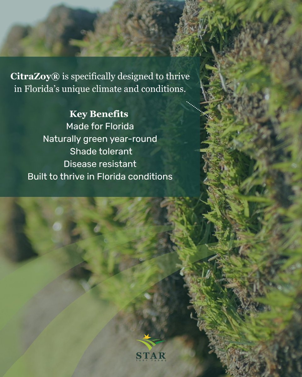 StarTurf_Farms's tweet photo. Artificial turf has its place. But when comparing turf options, the long-term impact matters.

The right choice depends on the environment, expectations, and maintenance plan.

Swipe for a look at the benefits of premium sod in Florida. #StarTurfFarms #KeepingFloridaGreen https://t.co/qlT0Bzz6eI