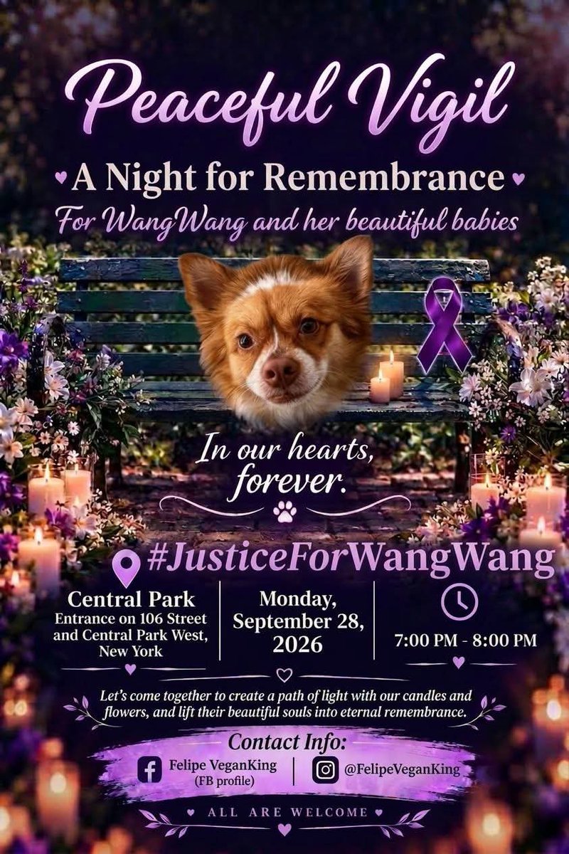 GailBow90094610's tweet photo. #JusticeForWangWang #JusticeForMiko #JusticeForCowcat #JusticeForLittleCalf #JusticeForAite #JusticeForTheodore #JusticeForOrelha #JusticeForTeddy #miniğiunutma https://t.co/Y7p70cSxDF