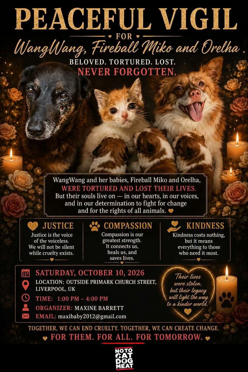 GailBow90094610's tweet photo. #JusticeForWangWang #JusticeForMiko #JusticeForCowcat #JusticeForLittleCalf #JusticeForAite #JusticeForTheodore #JusticeForOrelha #JusticeForTeddy #miniğiunutma https://t.co/Y7p70cSxDF
