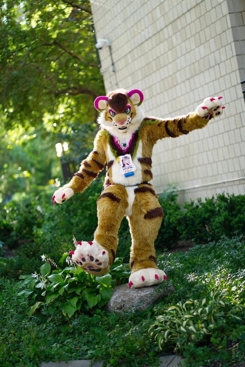 chiselsaber's tweet photo. It's a fact that cats always have perfect balance! (I fell immediately after this picture was taken). #fursuitfriday

🪡:@RitzCostumes
📷:@/lankysolv.lgbt https://t.co/sk4BWvpjza