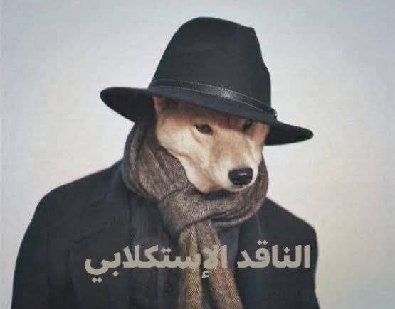 shhwd_m's tweet photo. هي كيف تشوف نفسها وهي تكتب الكلام : https://t.co/MkcUmbKR60