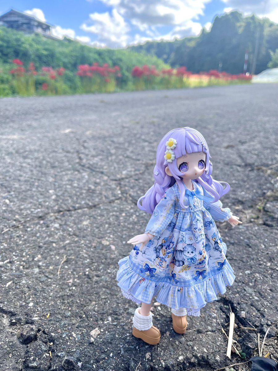 kage_ru's tweet photo. おはようございます

昨日はお月見出来たでしょうか🎑

ヴィオレッタちゃんとお散歩楽しかったなぁ🫶

#おはドル https://t.co/WJ2ibM5Su8