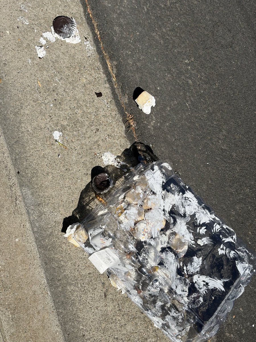 rottenegl's tweet photo. there really is someone who is having a worse day than you are https://t.co/rbklF3QmUq