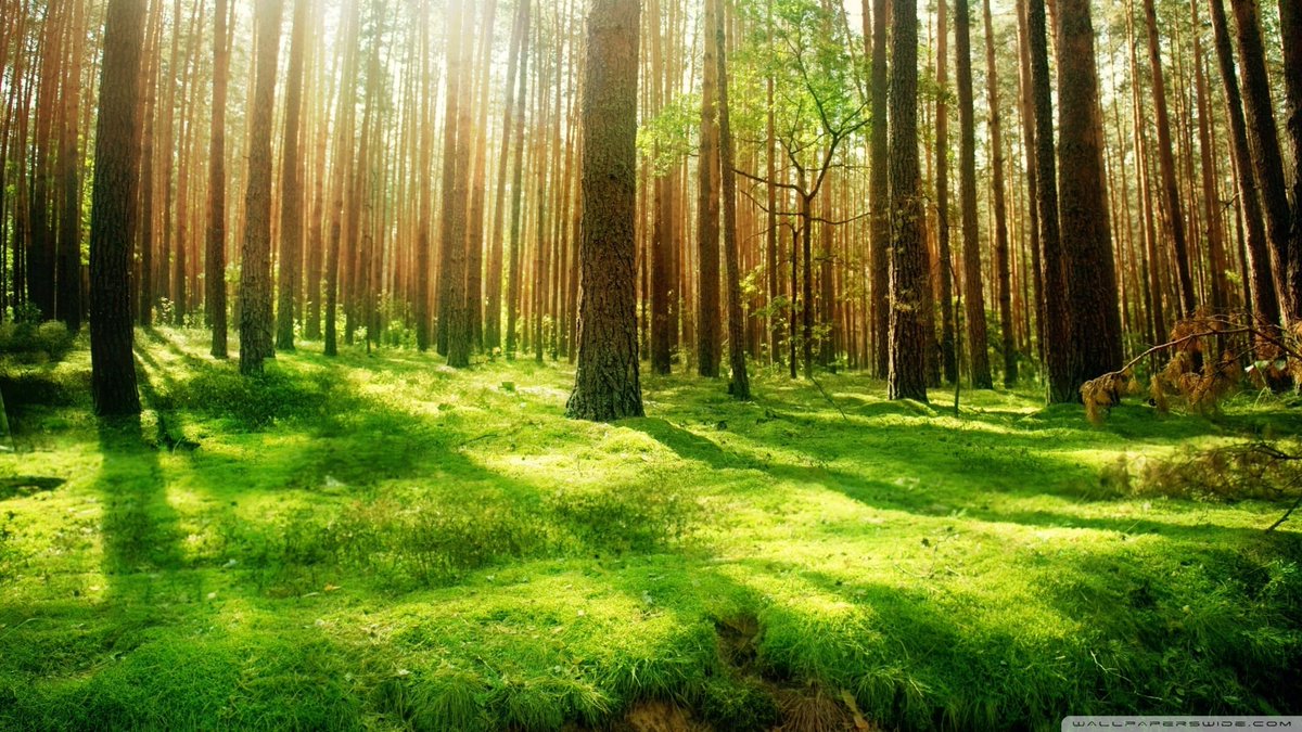 stacCoYHUncAP's tweet photo. KNeine Hölle mehr und auch kein Paradies.Uoch einen Sinn für etwas, das ewig hält?
nd wer hat in der schnelllebigen Welt https://t.co/sXdfqIGkSQ