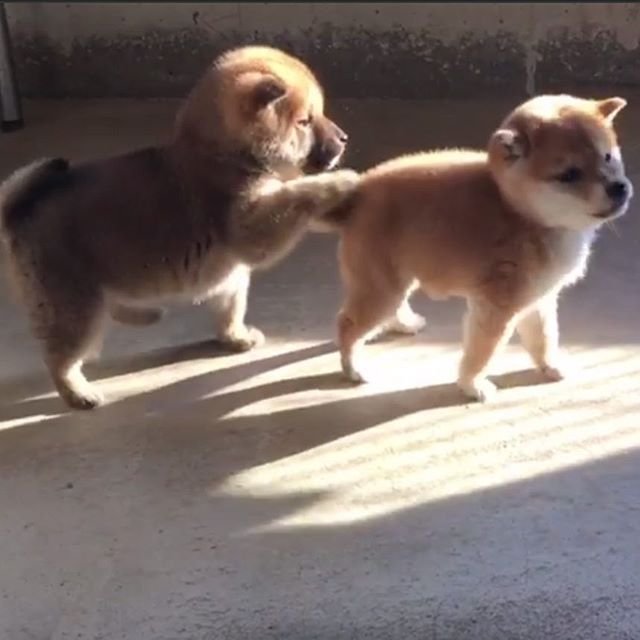 canihaedo's tweet photo. 엉덩이 만짐 https://t.co/R4XdZt1voc
