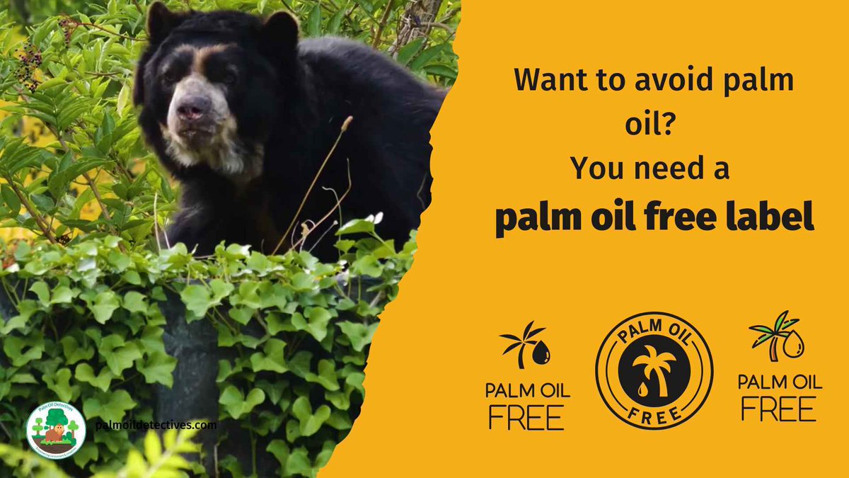 PalmOilDetect's tweet photo. When #consumers are told about #palmoil being in products – they will avoid them according to this important #study. Consumers demand better, we want a #palmoilfree label! Take action #Boycottpalmoil 🌴🩸☠️⛔️#Boycott4Wildlife @palmoildetect https://t.co/D9ufXWee2n https://t.co/P2syTU4BAu