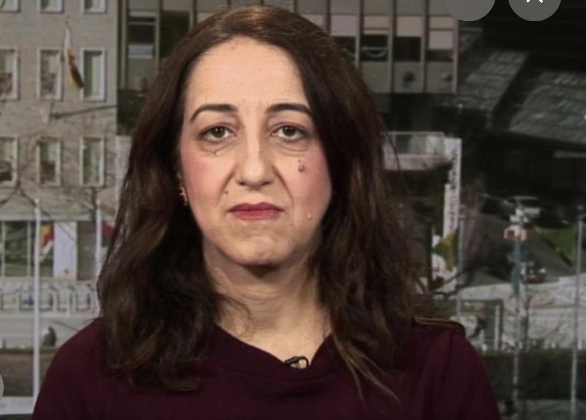 navidmohebbi's tweet photo. Imagine how much Farnaz Fassihi, a pro-regime propagandist disguised as a journalist, is hated and despised by the Iranian-American community that The New York Times has to issue statements like this every other month. Only naive Westerners fall for her propaganda, not Iranians. https://t.co/UT7IRE2YNl