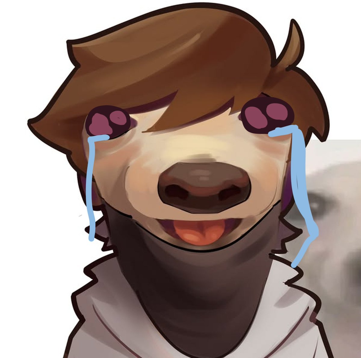 AquinoPatitos's tweet photo. La sylvee diciendo q tienen que mantener a aquino vivo pq si se muere vale verga todo el team 😿❤️‍🩹 https://t.co/NEZWQtuM4t