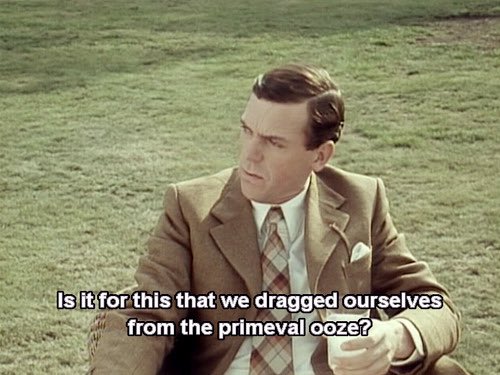 DurhamWASP's tweet photo. Bertie rather neatly summing up the national mood https://t.co/ep7BFsBItU