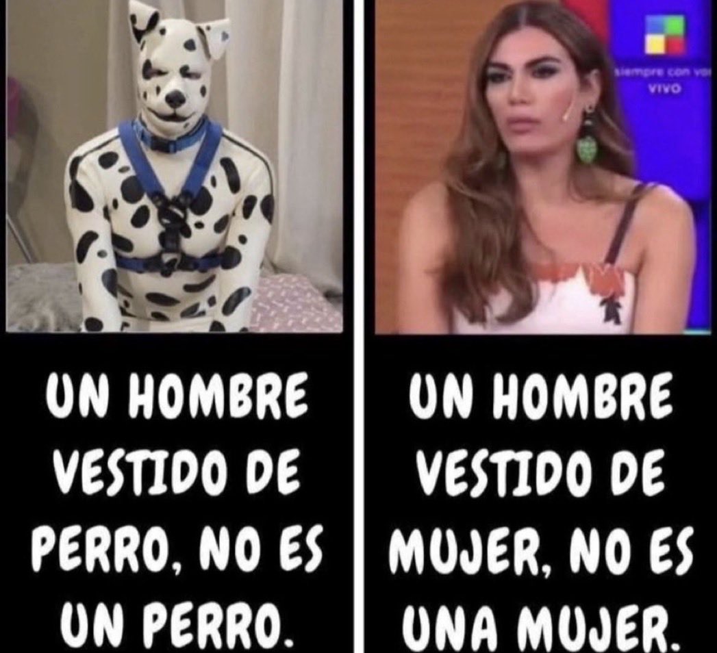88lamaga's tweet photo. Hay un género: humano. Hay 2 sexos: masculino y femenino. Que los trans se autoperciban como quieran, se vistan como quieran e ingieran las hormonas del sexo opuesto que quieran, todo bien, pero que no nos incluyan en su delirio. La disforia de género se trata en el consultorio. Nadie nace en el cuerpo equivocado. El cuerpo no se elige, somos una unidad psicofísica: cuerpo-mente-alma. Hasta los budistas, que creen en la reencarnación, afirman que uno nace y renace en el cuerpo que se merece, no en el que elige. Y permitir que hombres biológicos compitan en deportes contra mujeres es avalar la violencia contra las mujeres. Basta de pavadas woke.