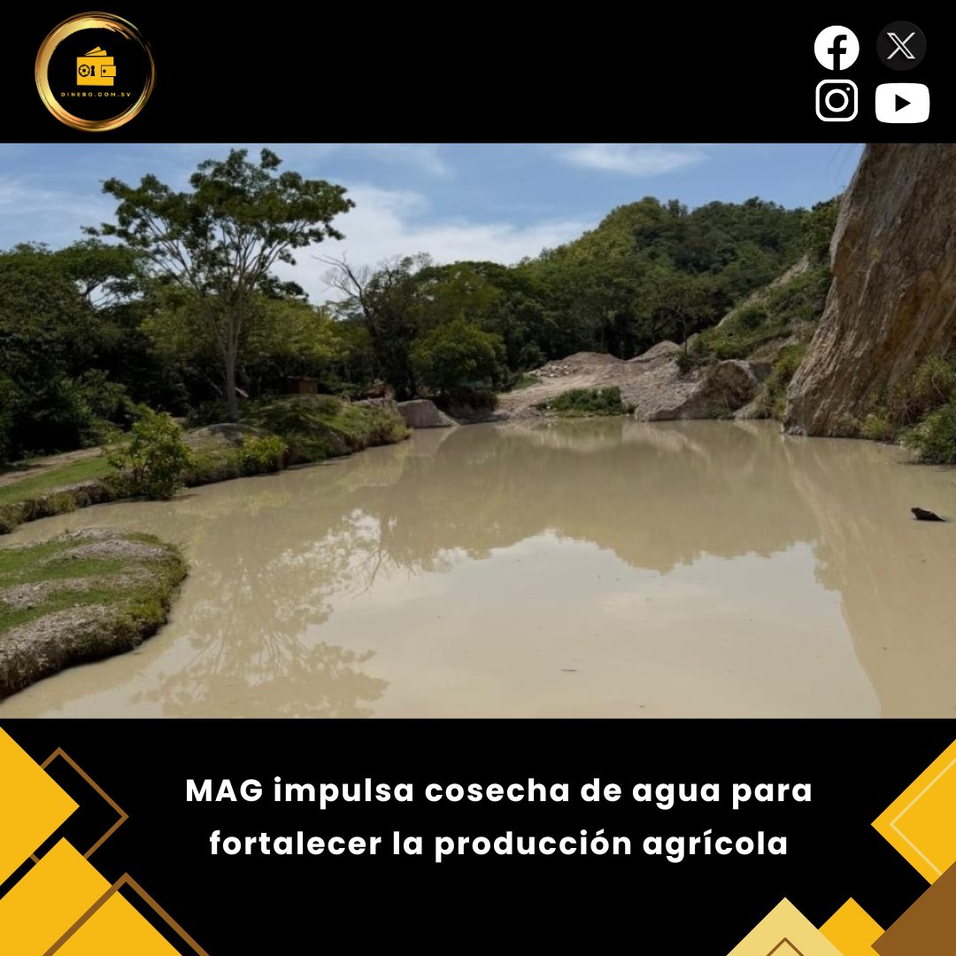 dinerocomsv's tweet photo. #Actualidad 💧🌱 MAG impulsa la cosecha de agua en el corredor seco y la zona oriental 🚜📈 con la perforación de pozos, punteras y construcción de reservorios 🏗️💦💧✨ @AgriculturaSV
Datos aquí: https://t.co/7r8Si0R0OH
#MAG #Agricultura #CosechaDeAgua #Producción #Agro #Reservorios #Economía #ElSalvador🌱
📝 AR