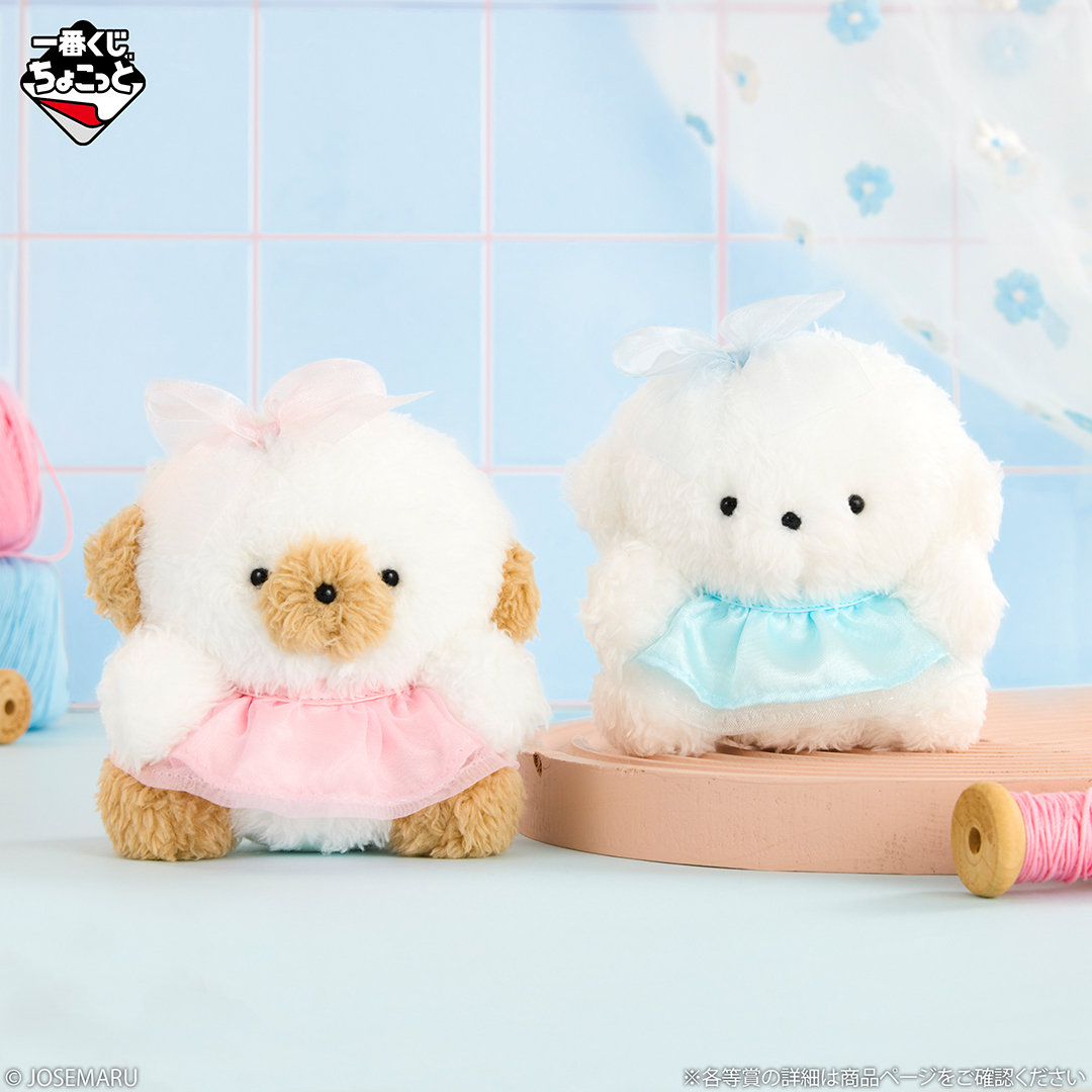 ichibanKUJI's tweet photo. 🐾꙳✧˖°⌖꙳✧🐾
一番くじちょこっと 
じょせまる ～ふりふり ぷりてぃ ぉいぬ～
📅9月29日(火)より順次発売予定
🐾꙳✧˖°⌖꙳✧🐾
🔗https://t.co/m8BAccuGz6

A賞とB賞はスマホクリーナーとしても使える便利なぬいぐるみマスコット「すまほくりん」♪
チャームといっしょにつけてもかわいい💭

#じょせまる #一番くじ