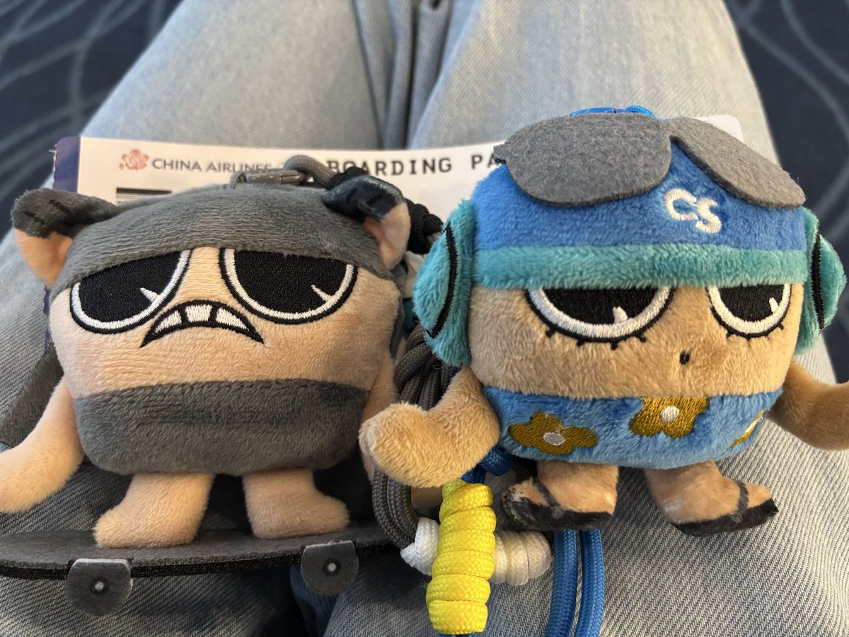 longshucai's tweet photo. 結局連れてきた。

メール検索したらフルキャリの飛行機は16年ぶりらしい。今回のエア代で、当時はホテルも送迎も込みでまだお釣りが来てたらしい。 https://t.co/szd2R8IFXq