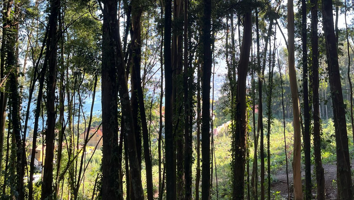 OdiloGranada's tweet photo. Último Día en el Cielo https://t.co/TKQqUu7sTk