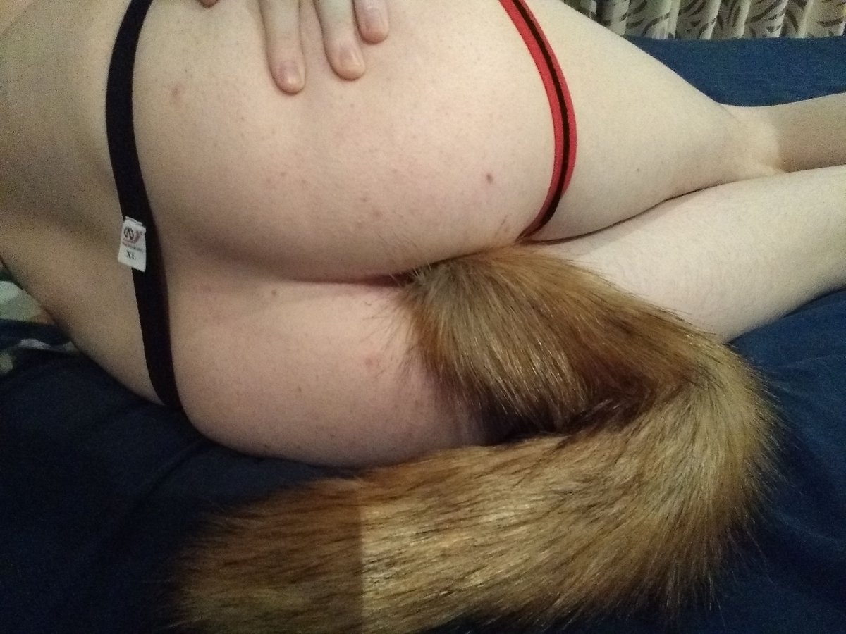 Lewd_Laz's tweet photo. Pull my tail and see what happens? :3

#tailplug #jock #booty https://t.co/zL66868JMa