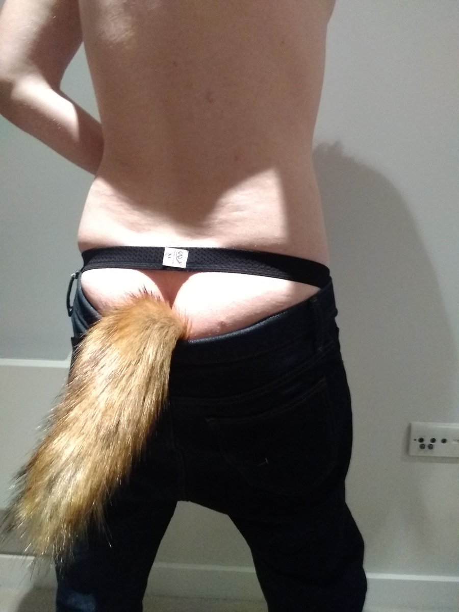 Lewd_Laz's tweet photo. Pull my tail and see what happens? :3

#tailplug #jock #booty https://t.co/zL66868JMa