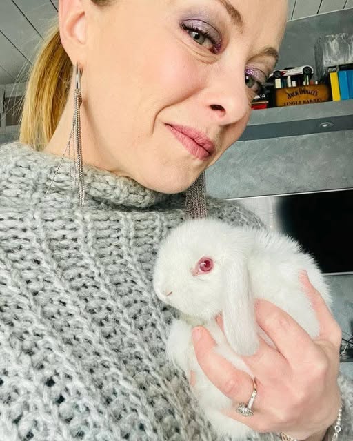 melonienesp's tweet photo. ¡Feliz Día del Conejo 🐰! https://t.co/J51Tzp1saW