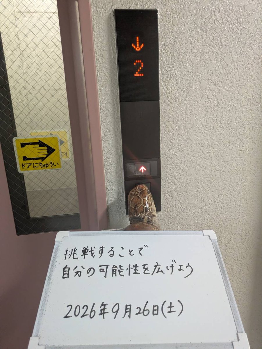 oneday_1kame's tweet photo. .
Expand your potential through challenges!
.
#GrowThroughChallenge
#UnlockYourPotential
#PushYourLimits
#ChallengeYourselfDaily
#fyp
#挑戦で広がる可能性
#自分の限界を超えていこう
#チャレンジする勇気
#未来を切り開く一歩
#おすすめにのりたい https://t.co/7xfbfnsfD7