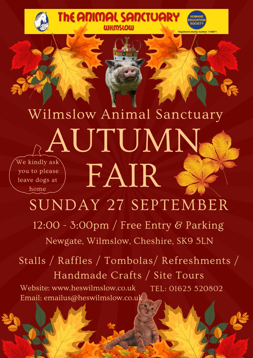animalswilmslow's tweet photo. 🍁 Tomorrow, we open the gates! 🐾
Join us for our Autumn Fair, 12–3pm.
🌦️ Rain or shine – indoor and covered areas available.
Free admission &amp; parking.
Full details below. 🧡
#Wilmslow #Handforth #Bramhall #Stockport #Manchester #CheshireEast https://t.co/T2L152IXXc