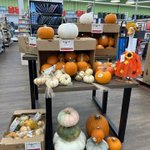 Photo by Clarks ACE Hardware-Ellicott City (@ClarksHardware)