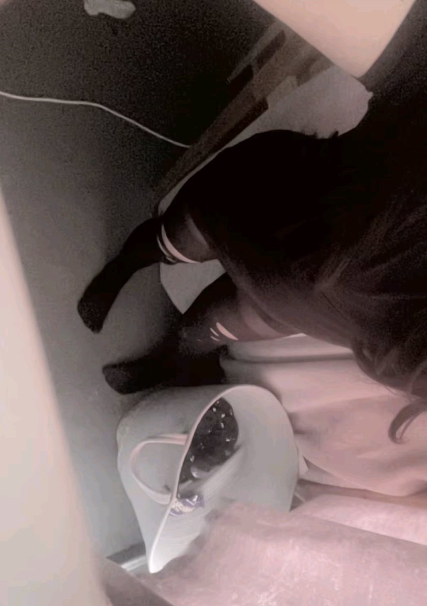 mewsoftpaws's tweet photo. Selling pics and vids :3 dms open #thickthighs #cute #viral #egirl #slut #whore https://t.co/NSU2ri8o5A