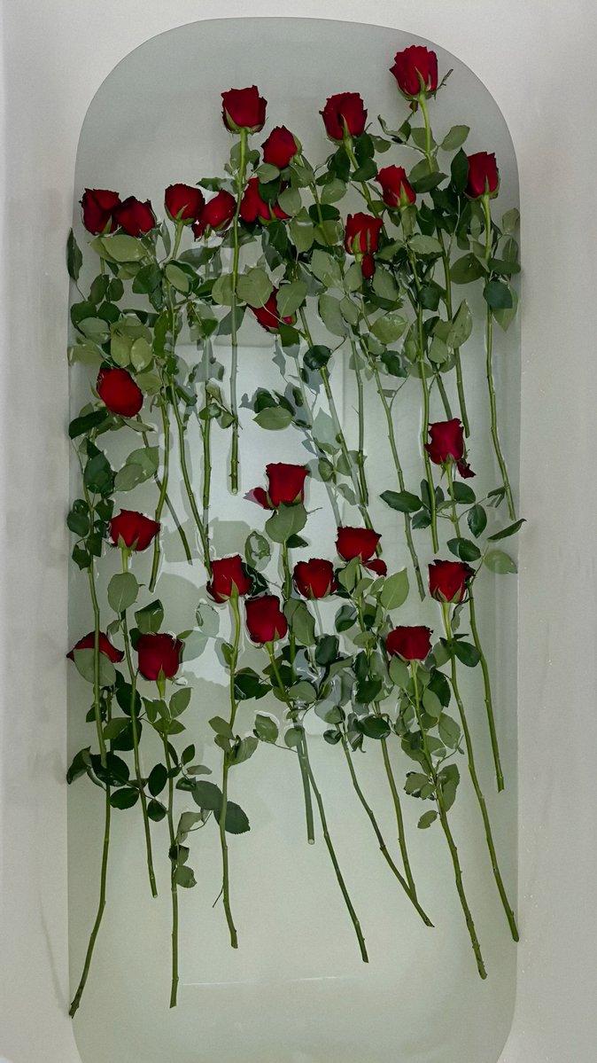 gardenofcolours's tweet photo. https://t.co/Meu87GnCHL