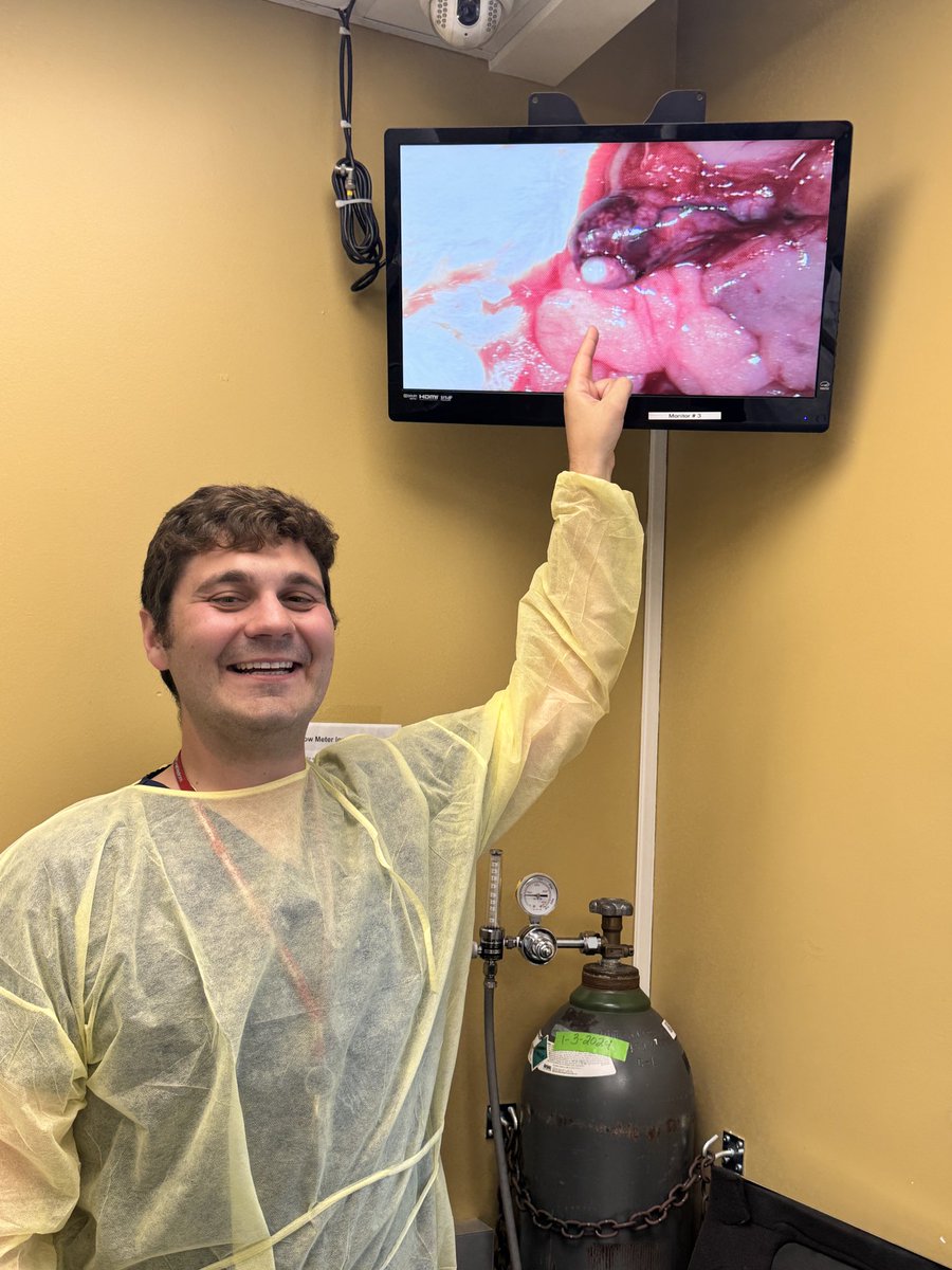 psli2005's tweet photo. We truly enjoyed hosting Dr. John Myrga @JohnMyrga who completed his urology residency at @UPMCUrology and additional training in male infertility and mens’s health under Dr. James F. Smith at @UCSFUrology while completing a fellowship in reconstructive urology with @Ben_Breyer  @UCSFUrology. John has now returned to the University of Pittsburgh as an attending urologist and Assistant Professor of Urology, specializing in reconstructive urology, male infertility and sexual medicine.   
John did an outstanding job during this week’s Male Infertility Microsurgical Course at @WCMUrology, demonstrating excellent microsurgical skills and consistently strong technical performance in both VV and VE animal models. John is a talented surgeon whose dedication, precision, and passion are truly inspiring. Working with talented and motivated young urologists like John is one of the greatest joys of academic medicine. Nothing is more rewarding than watching trainees develop the skills and confidence to become future leaders, advance our field, and improve patient care. We are confident that many couples facing male infertility in the Pittsburgh region will benefit greatly from his expertise and dedication. Congratulations, John—keep moving forward!
@WeillCornell @NYSAUA @SMSNA_ORG @SSMR_malefactor @ASRM @ReproMed_SMRU
