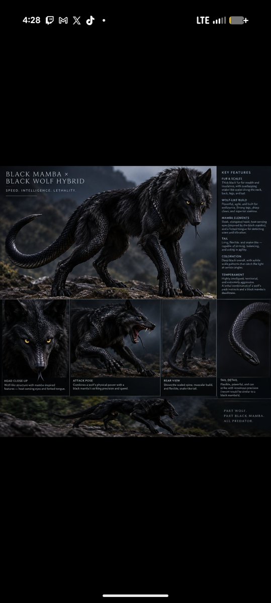 thereaper_85591's tweet photo. Someone PLZ make me a fursona using this image https://t.co/P2GKtPLt2o