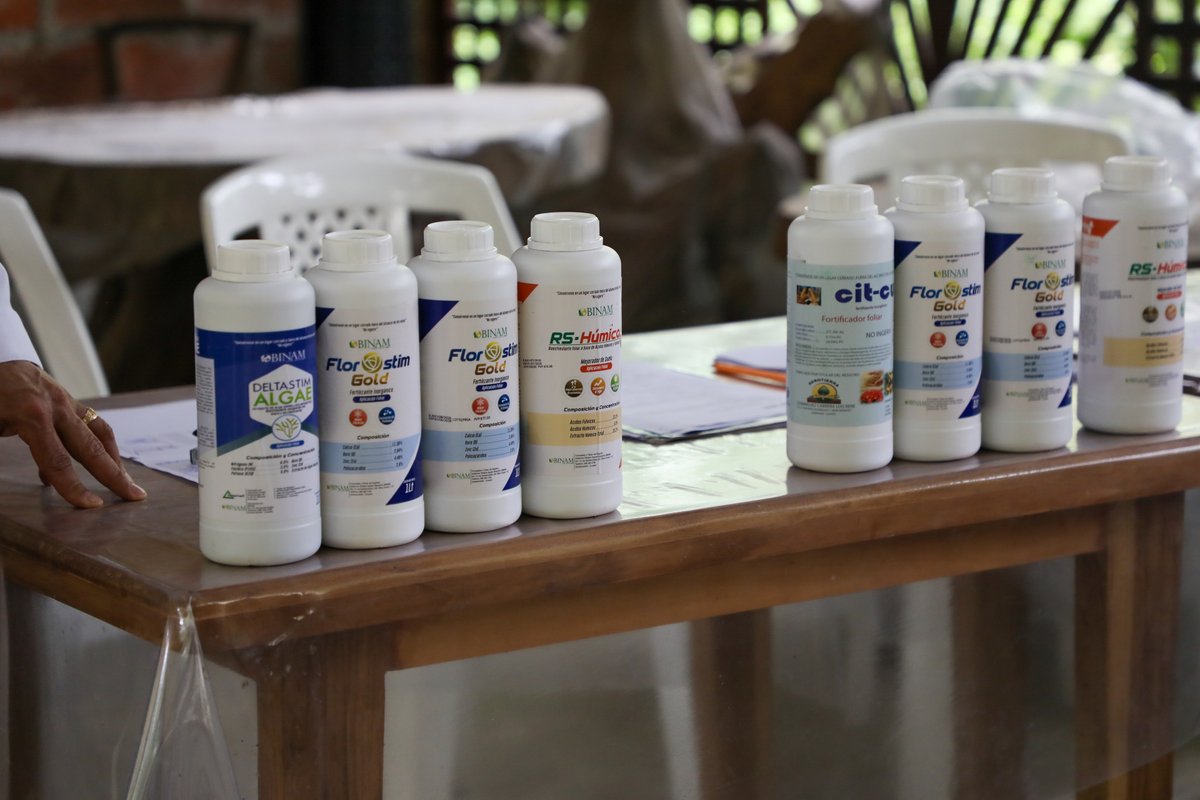 PrefecturaCanar's tweet photo. 🍫🌱 35 familias productoras de cacao de la 𝐀𝐬𝐨𝐜𝐢𝐚𝐜𝐢𝐨́𝐧 𝐋𝐮𝐜𝐡𝐚𝐝𝐨𝐫𝐞𝐬 𝐩𝐨𝐫 𝐄𝐥 𝐀𝐠𝐫𝐨, 𝐝𝐞𝐥 𝐫𝐞𝐜𝐢𝐧𝐭𝐨 𝐃𝐨𝐬 𝐁𝐨𝐜𝐚𝐬, y de la 𝐀𝐬𝐨𝐜𝐢𝐚𝐜𝐢𝐨́𝐧 𝐀𝐒𝐀𝐏𝐑𝐎𝐂𝐀𝐍𝐔, 𝐝𝐞 𝐏𝐥𝐚𝐲𝐚 𝐒𝐞𝐜𝐚, parroquia Manuel J. Calle, recibieron fertilizantes. https://t.co/2Xe8DWirac