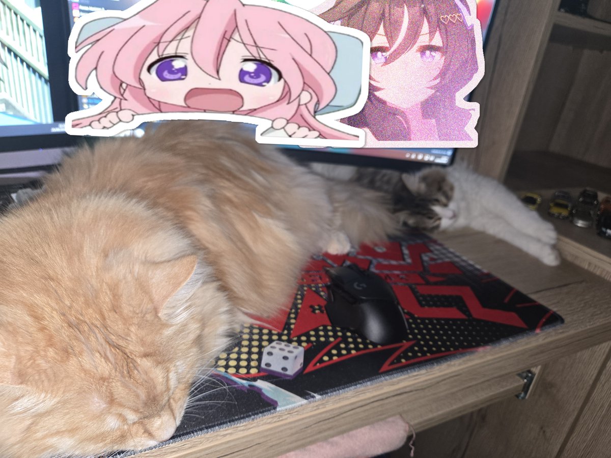 kurohanero_968's tweet photo. gn everynyan!! i think im having a #mentalbreakdown not very #cute but we will #persevere #sonotwt https://t.co/Rek2qLvX08