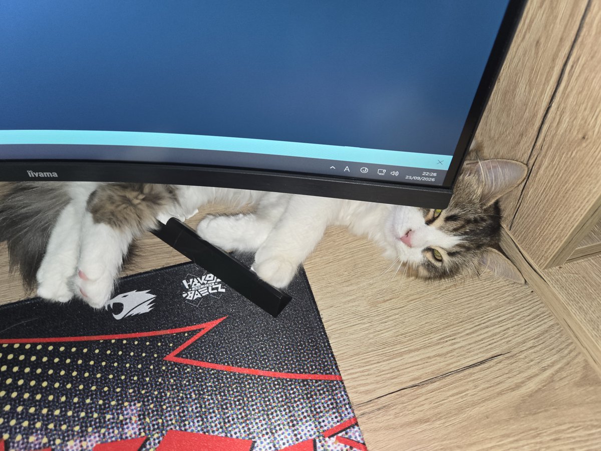 kurohanero_968's tweet photo. gn everynyan!! i think im having a #mentalbreakdown not very #cute but we will #persevere #sonotwt https://t.co/Rek2qLvX08