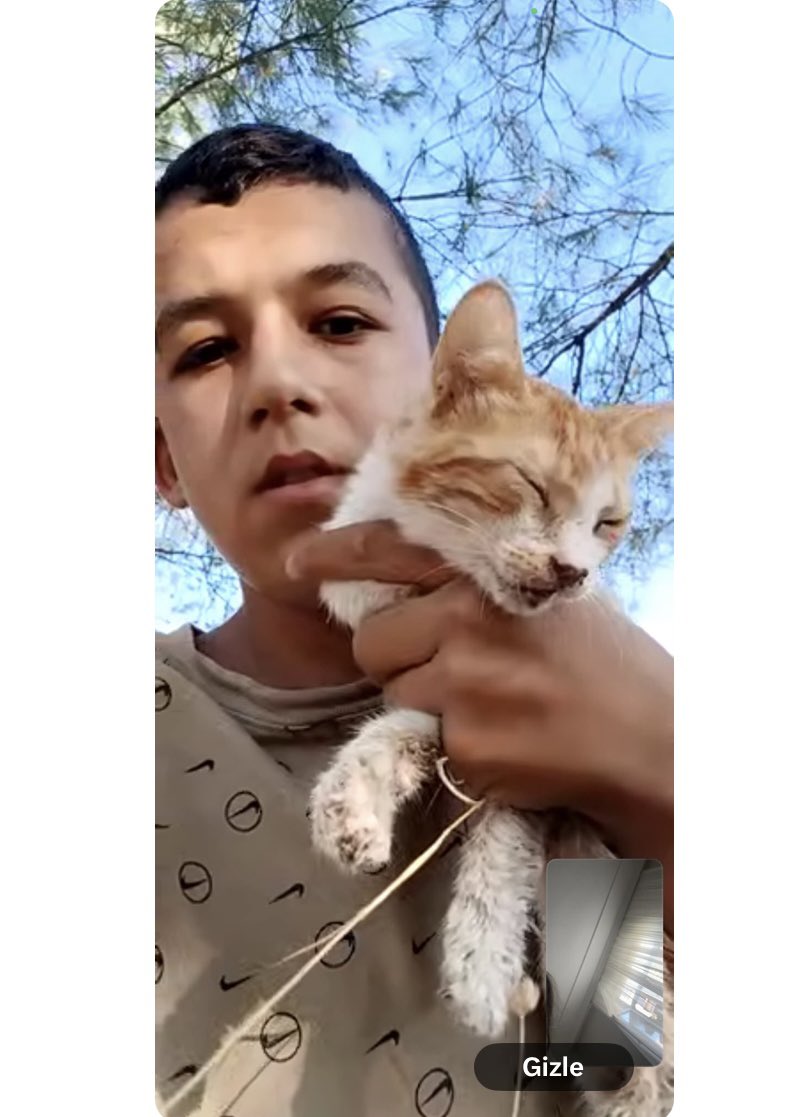 seli_zhra's tweet photo. 😡Ben bakamıyorum artık! Ya durdurun SAPIK KATİLLERİ Yada toptan gömün ÜLKEYİ. Görmeyelim bu Sapık Katileri. Sizin hiç Allah korkunuz yokmu bu Katillerü asmıyorsunuz. Allah bu masumların Zulmünde boğacak susanları💔#SapıkKatilVarAramızda #KatillerVar
Soyunu skm senin pis KATİL🤬 https://t.co/dnkDaX0wVz