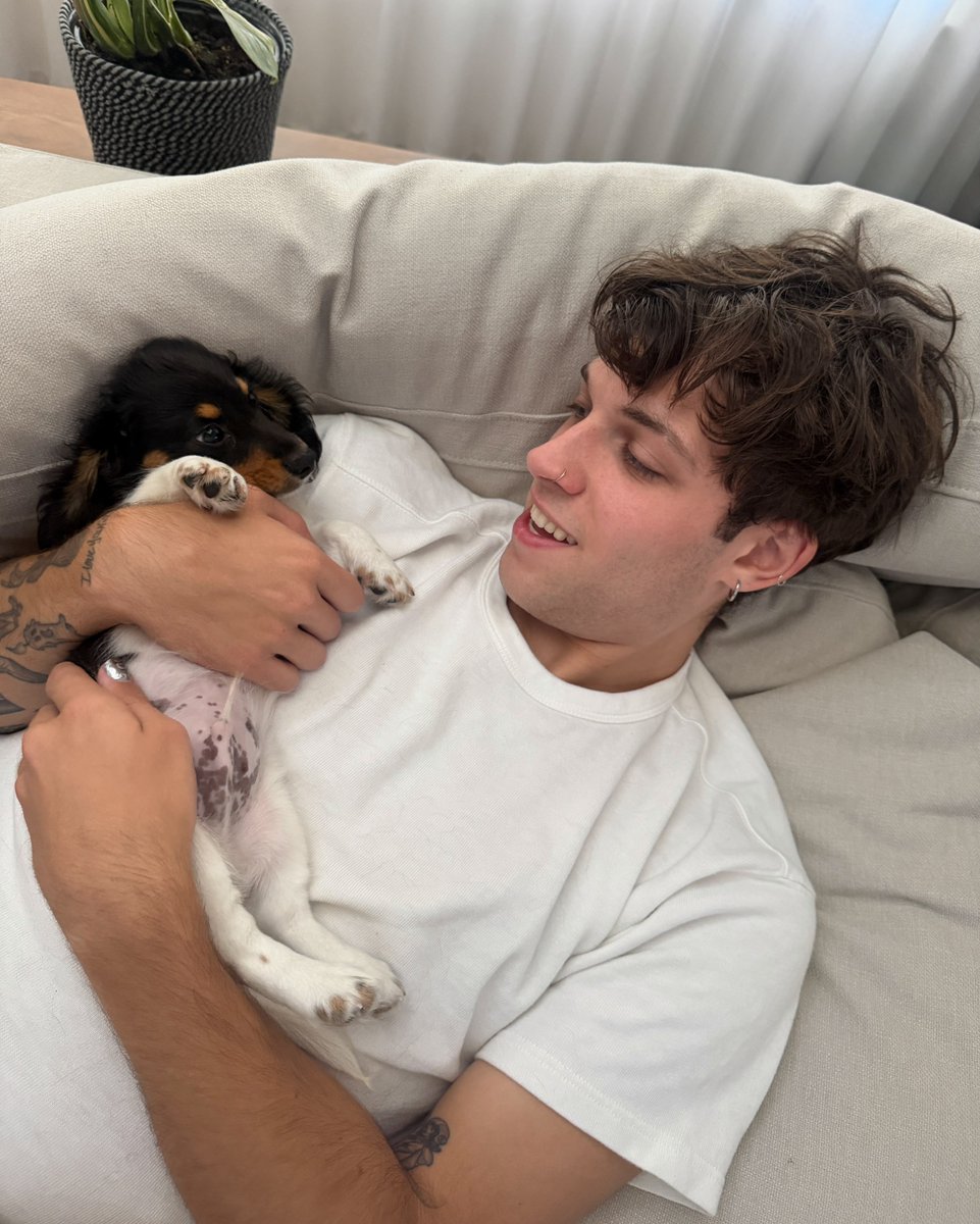 SturnioloUpd's tweet photo. 📸 | Nic via Instagram post! 09/25/26

"Been on dad mode 🌭🌟🐾" https://t.co/Zq4pisrFKO