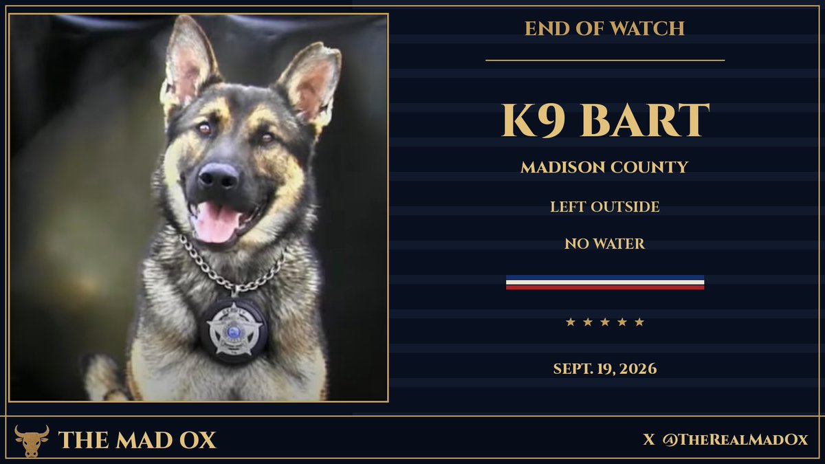 TheRealMadOx's tweet photo. K9 BART IS DEAD. 

K9 Bart sat outside for 36 hours with no water while the man who was supposed to feed him wasn't even home.

Madison County, Tennessee. Bart, a German Shepherd just over 2 years old, worked patrol, criminal apprehension, tracking, article searches, and narcotics. Sheriff Julian Wiser says his own handler left him unattended outside for approximately 36 hours with zero access to water while the heat index sat at 101 degrees. 

A university vet program in Mississippi confirmed it: heat stroke from severe dehydration. Preventable. Wiser used that word himself.

The handler got administrative leave, then resigned before anyone could fire him. Now an internal affairs investigation and a criminal investigation are both running, with findings headed to outside authorities.

Thirty six hours. This dog worked apprehension, tracking, narcotics, everything asked of him, and the one thing his handler owed him back was a bowl of water and thirty seconds to check on him. He didn't get either.

A resignation isn't accountability. Charge him.

H/t WBBJ