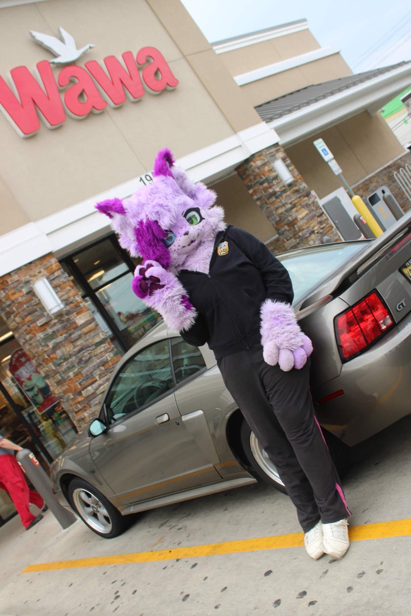 AmalyceIsGay's tweet photo. Wawa................ #FursuitFriday https://t.co/VJNOgENYE9
