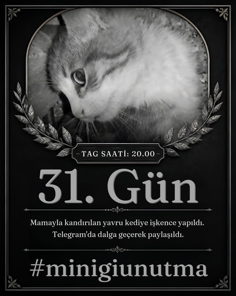 muhsin_deveci's tweet photo. #minigiunutma https://t.co/SfTxv4Rr8d
