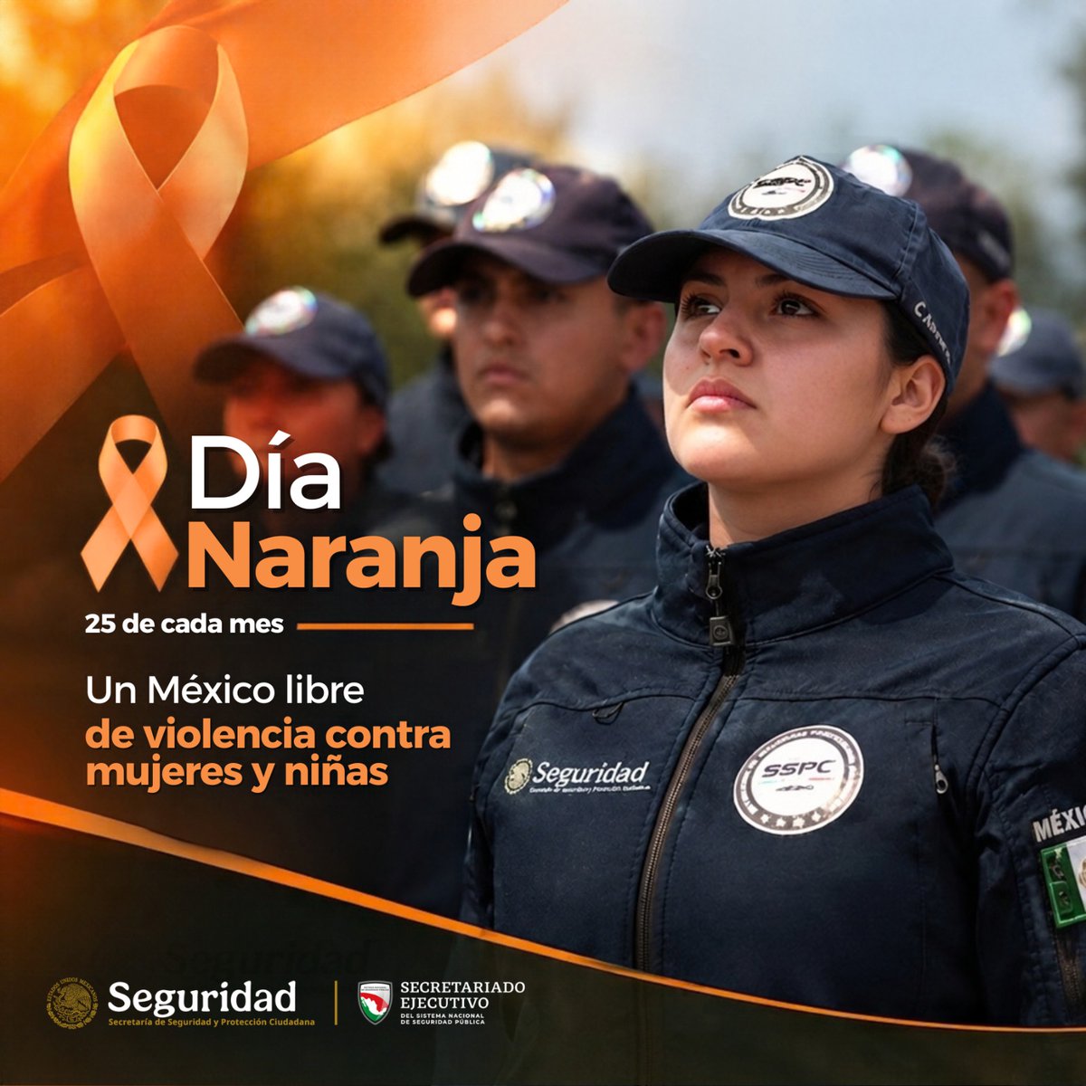 SESNSP's tweet photo. En el #DíaNaranja recordamos que prevenir y erradicar la violencia contra mujeres y niñas es una tarea que requiere del compromiso de todas y todos. 
Desde el #SESNSP nos sumamos a este llamado por una vida libre de violencia. https://t.co/14CI47q5Gy