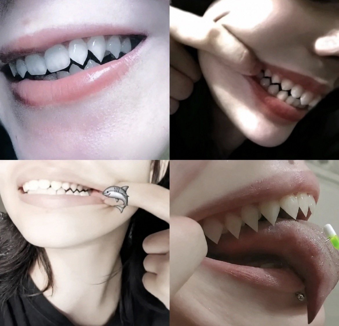 auroraakiss's tweet photo. Shark teeth. https://t.co/fHig7Cou89