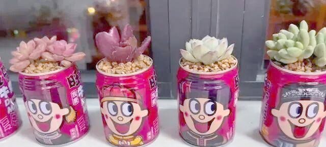 CathyAppiabdyc's tweet photo. Transformé una lata de conserva en un mini macetero para suculentas no tiramos nada!， https://t.co/YxNlsyjd8N